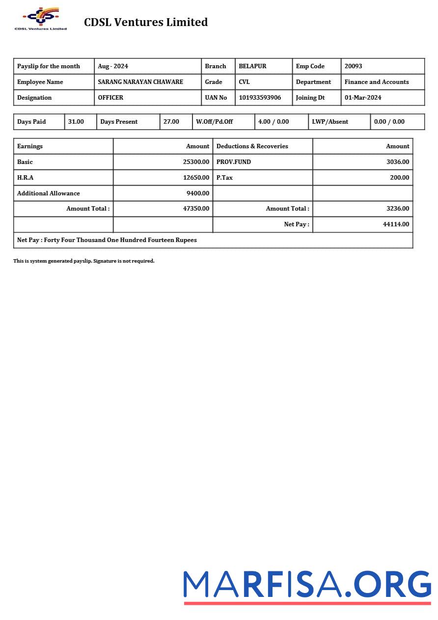 Realistic CDSL Ventures Limited payslip real example